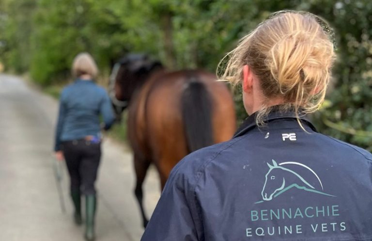 equine services lameness
