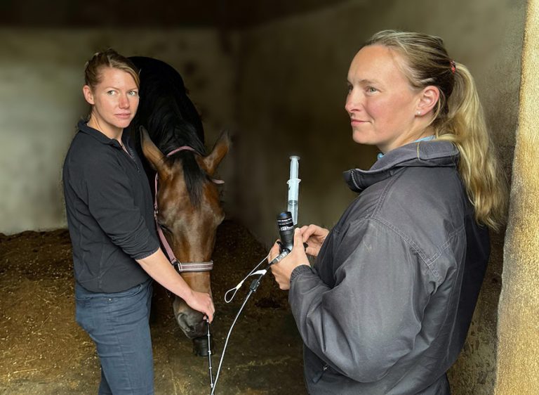 equine vets aberdeenshire